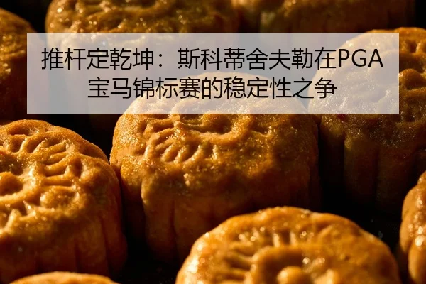 tui-gan-ding-qian-kun-si-ke-di-she-fu-lei-zai-bao-ma-jin-biao-sai-de-wen-ding-xing-zhi-zheng-2-145.jpg